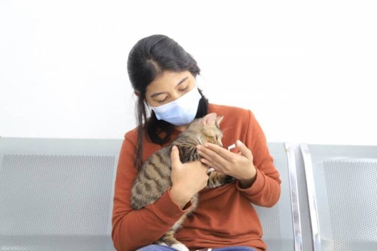 Guna mengontrol populasi hewan peliharaan dan mencegah berbagai penyakit, pemerintah Kota (Pemkot) membuka layanan Pekan Steril Anabul Kita (Pesta) secara gratis