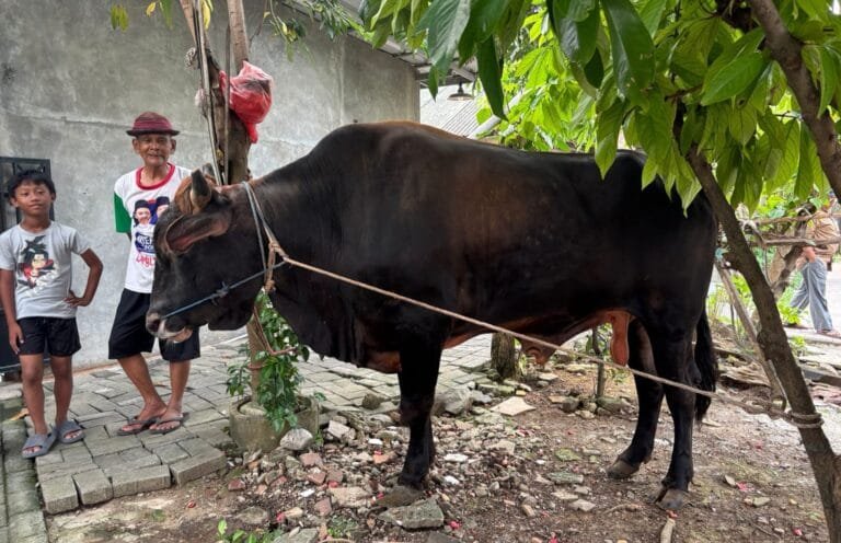 Sambut Hari Raya Idul  Adha 1446 Hijriah, PT Angkasa Pura Indonesia Kantor Cabang Bandara Internasional  menyalurkan 32 hewan kurban  kepada masyarakat sekitar. Bantuan tersebut sebagai program tanggung jawab sosial dan lingkungan (TJSL) Bandara Soekarno Hatta.