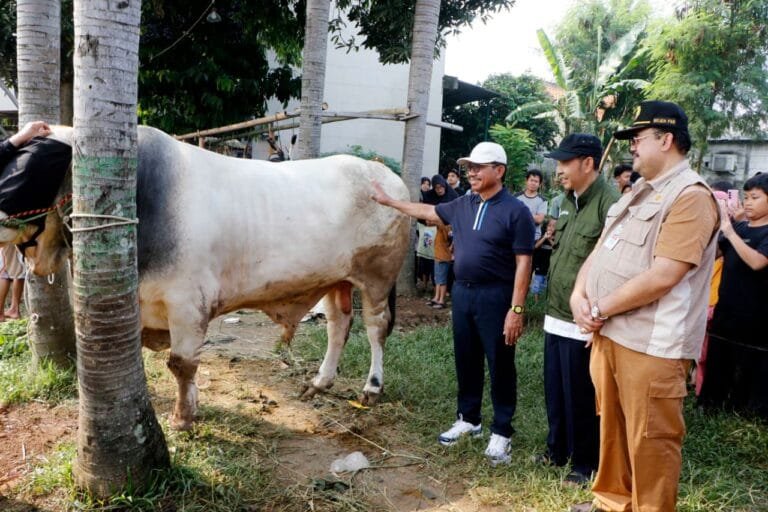 Walikota Tangerang meninjau lokasi penyembelihan