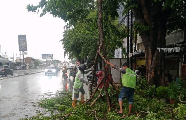 Hujan deras disertai angin kencang mengakibatkan terjadi genangan dan pohon tumbang