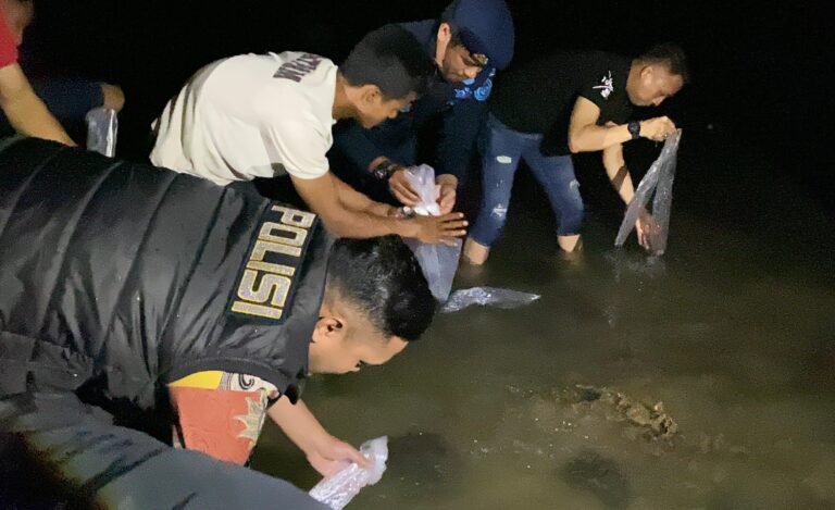 Polres metro Tangerang kota kembalikan ribuan lobster ke habitatnya