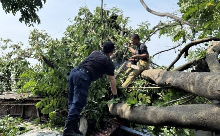 Tertimpa pohon tumbang di kota Tangerang dapat asuransi hingga Rp50 juta.