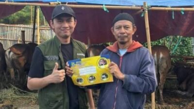 DKP kota Tangerang pantau kesehatan hewan kurban
