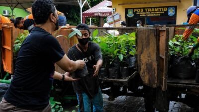 Dorong penghijauan Pemkot Tangerang siapkan bibit tanaman gratis pada masyarakat.