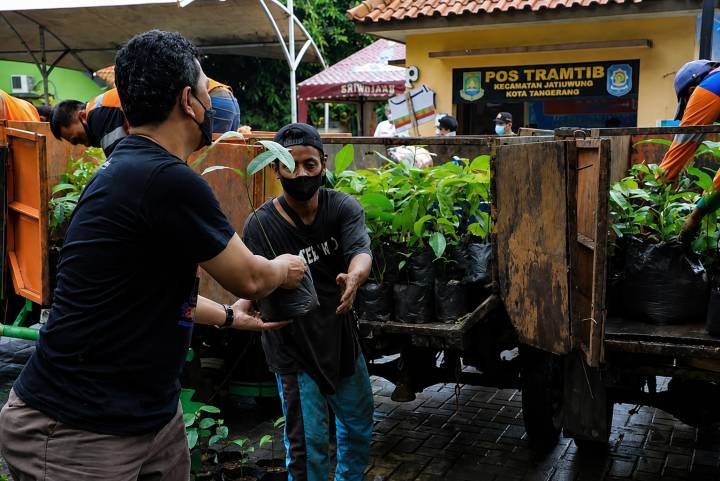 Dorong penghijauan Pemkot Tangerang siapkan bibit tanaman gratis pada masyarakat.