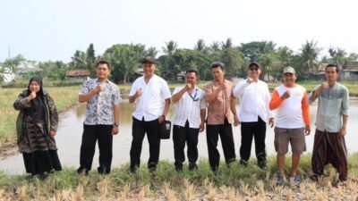 Pemkab Tangerang tingkatkan ketahanan pangan melalui kelompok tani di desa pangejahan